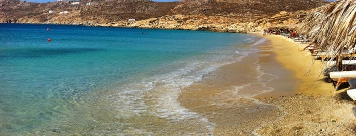 Elia Beach is one of Best beaches of the Cyclades.