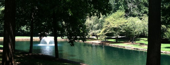 Lakewood Park is one of A local’s guide: Statesville, NC.