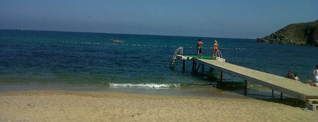 Dalia Beach Club is one of Plaj.