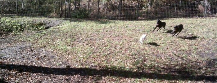 Bee's Landing Dog Park is one of Charleston Lowcountry Dog Runs.