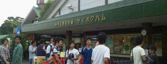 サイボク天然温泉 まきばの湯 is one of お風呂.