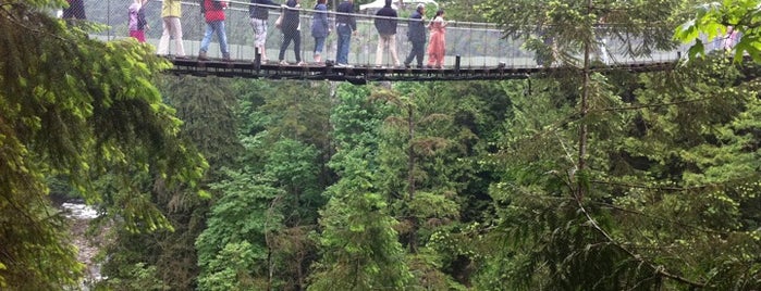 Capilano Suspension Bridge is one of Out & About in Vancouver B.C..