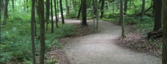 Indian Run Falls is one of Kemi's Saved Places.