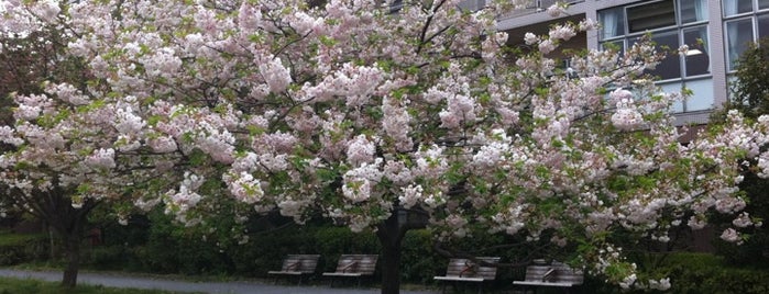 Higashiyama Park is one of Parks & Gardens in Tokyo / 東京の公園・庭園.