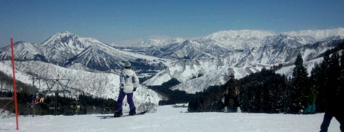 Kandatsu Ski Area is one of My favorite Ski Resorts in Japan..