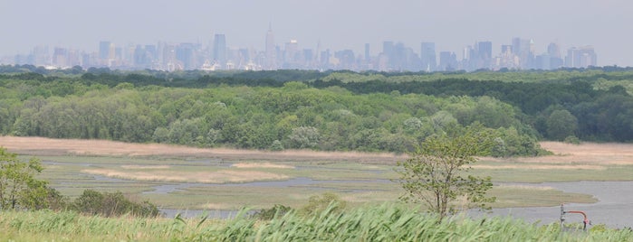 Freshkills Park is one of The Most Spectactular Views of NYC.