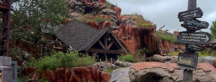 Splash Mountain is one of Theme Parks & Roller Coasters.