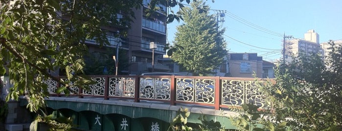 大井橋 is one of 橋.