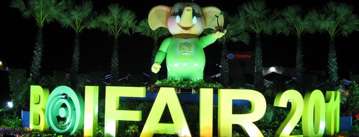 BOI FAIR 2011 is one of Entertainment and the show.