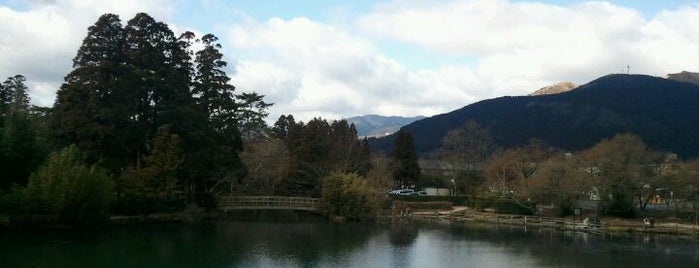 金鱗湖 is one of ぷらっと九州「北」界隈.