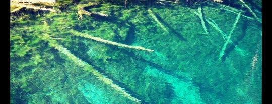 Kitch-iti-kipi Springs is one of UP trip.