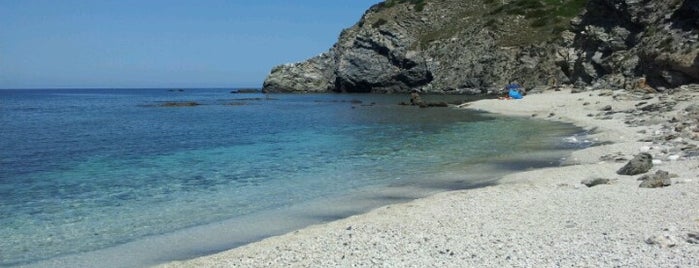 Spiaggia Rena Majore is one of Spiagge della Sardegna.