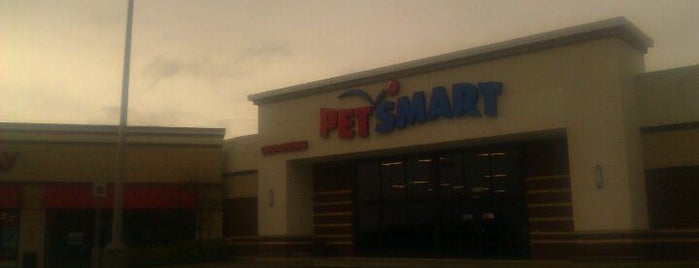 PetSmart is one of favorite spots.