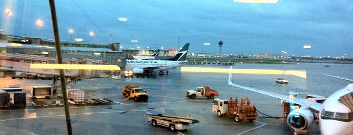 Toronto Pearson Uluslararası Havalimanı (YYZ) is one of Toronto's best spots.