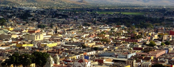 El Mirador is one of Oaxaca Básico.