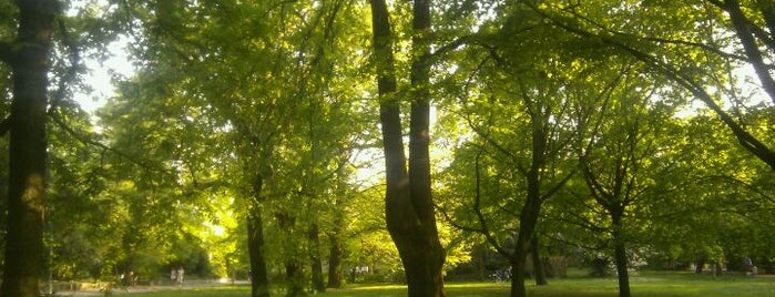Stadtpark Lichtenberg (Parkaue) is one of Parks - Berlin's green oases.