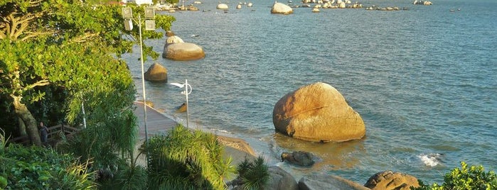 Praia das Palmeiras is one of Floripa Golden Isle.