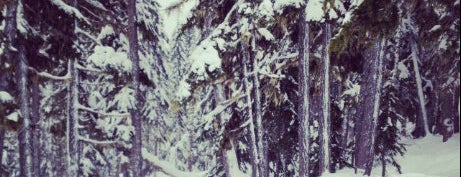 Blackcomb's Excalibur Gondola is one of Whistler Ski.