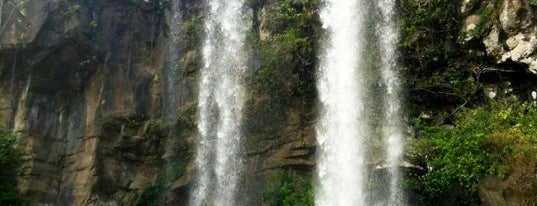 Jeongbang Waterfall is one of 7 Wonders of Nature: *JEJU Island*.