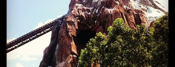 Expedition Everest is one of My Favorite Roller Coasters.