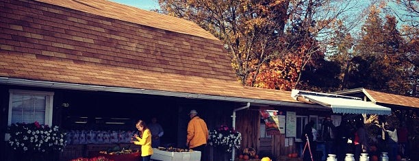 Dressel Farms is one of Things to do in the New Paltz area.