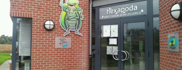 Hexapoda Insectarium Jean Leclercq is one of Zoos et Parcs animaliers en Belgique.