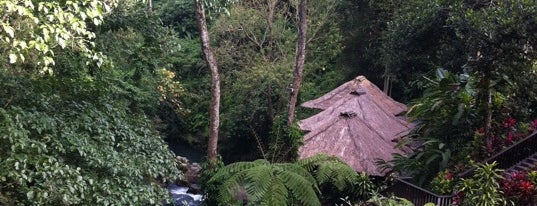 Maya Ubud Resort & Spa is one of SPA-cалоны, массаж и йога на Бали.