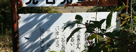見石児童公園 is one of Park in Morioka.