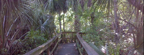 Turkey Creek Sanctuary is one of Central Florida Parks.