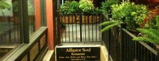 Alligator Soul is one of Savannah To-do list.