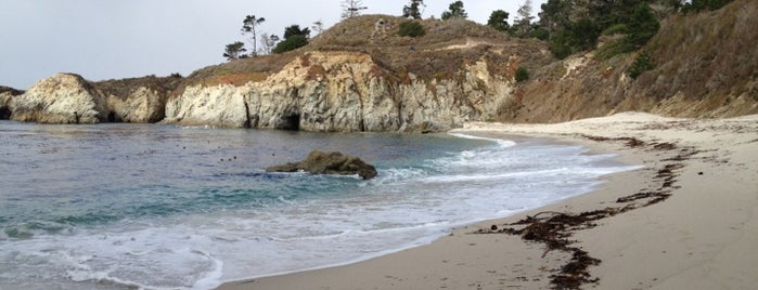 China Cove is one of Monterey.