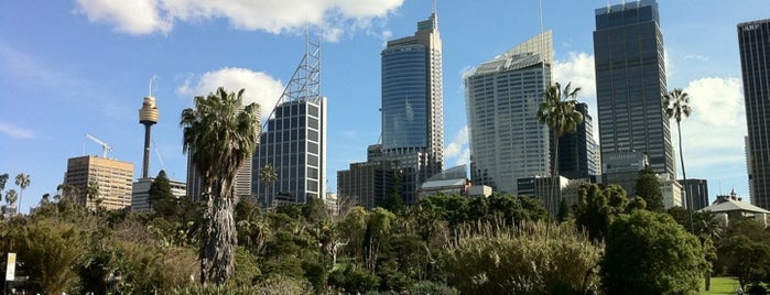 Royal Botanic Garden is one of Best Picnic spots in and around Sydney.