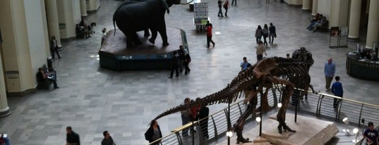 The Field Museum is one of Places To Go To In Chicago.