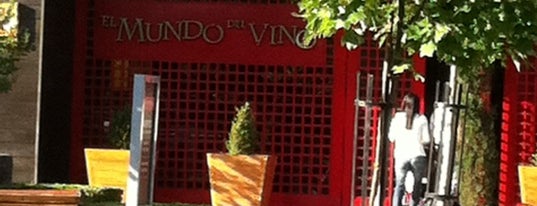 El Mundo del Vino is one of Nice places in Santiago, Chile.
