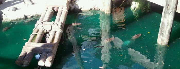 Congo River Golf is one of Zoology 님이 좋아한 장소.