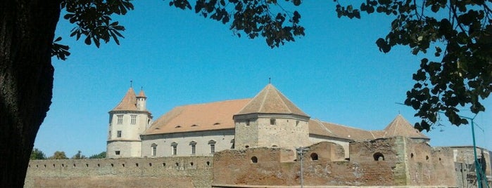 Cetatea Făgărașului is one of Моя Румунія і Болгарія.