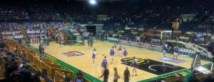 Townsville Entertainment and Convention Centre is one of Basketball.