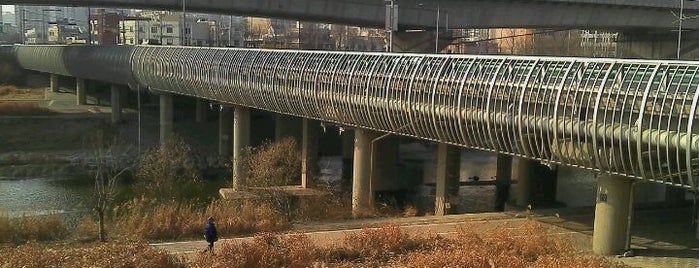 제2마장교 is one of Bridges over Cheonggyecheon.