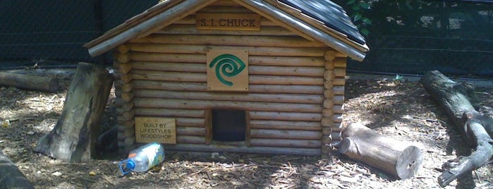 Bloomie's Chuck the Groundhog is one of สถานที่ที่ Lizzie ถูกใจ.