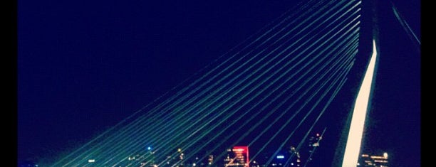 Erasmus Bridge is one of Best Place To Celebrate New Year Eve.