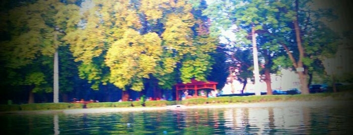 Central Park is one of Places in Cluj.