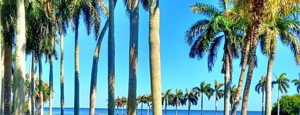 Deering Estate at Cutler is one of Miami: history, culture, and outdoors.