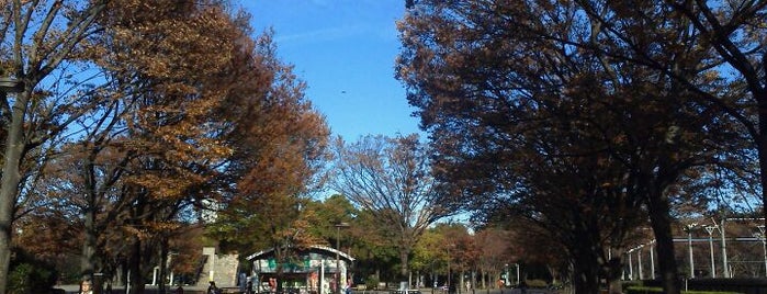 Zelkova Trees is one of Tokyo 2012.