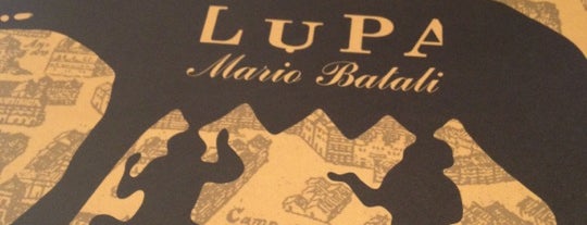 Lupa is one of Craft beer in Hong Kong 香港精釀手工啤酒.