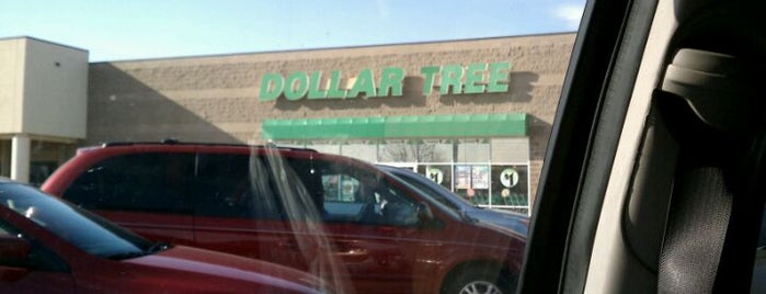 Dollar Tree is one of my spots.