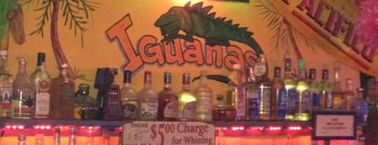 Iguanas is one of Kimmie's Saved Places.