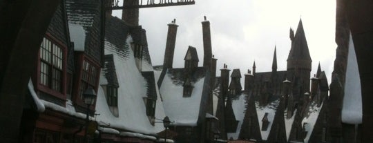 The Wizarding World of Harry Potter - Hogsmeade is one of RollerCoaster Over the World.