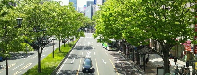 Aoba-dori Ave. is one of ジョギングコース.