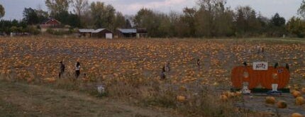 Afton Apple Orchard is one of Fall Harvests #MSP.