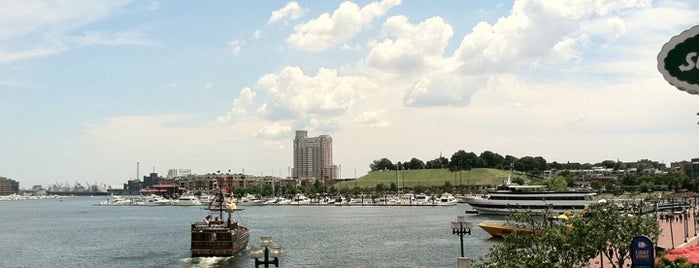 Inner Harbor is one of City Paper's :Baltimore Living: Readers Poll '11.